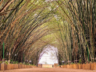 Jardin Botanique (Latitude : 5.3639805  ; Longitude : -3.8890783)